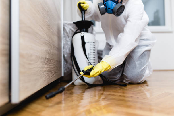 Best Wasp Removal Services  in Thousand Oaks, CA