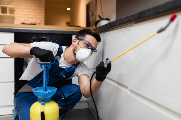 Best Emergency Pest Control  in Thousand Oaks, CA