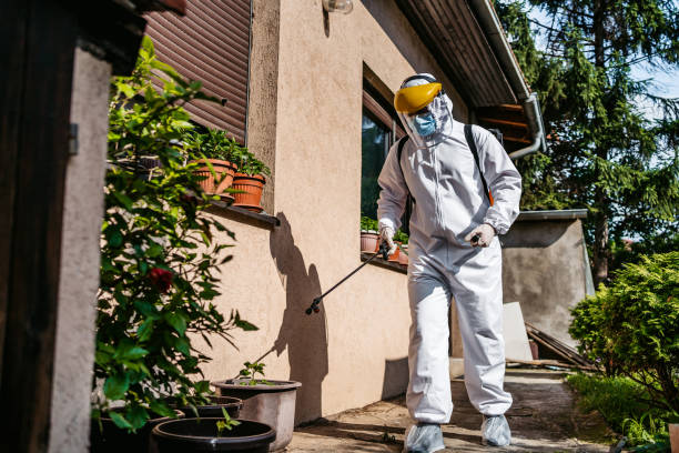 Best Local Pest Control Services  in Thousand Oaks, CA
