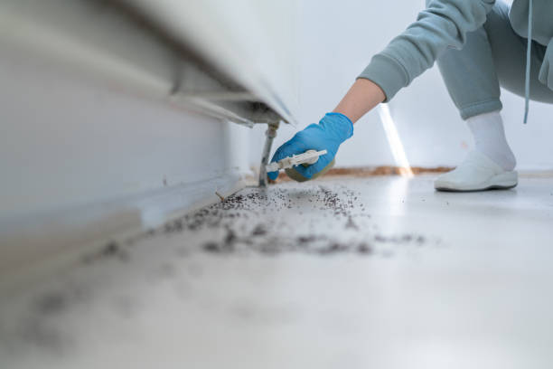 Wildlife Control Services in Thousand Oaks, CA